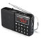 WE Radio avec batterie rechargeable +  USB / MicroSD