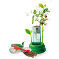 Botanique et hydroponie