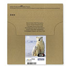 Photos 26 Série Ours polaire Easy Mail Pack - Multipack