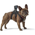 Harnais pour chien Fetch
