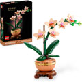 Photos BOTANICALS - L’orchidée miniature