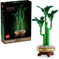 Photos BOTANICALS - Le bambou de la chance