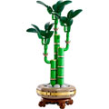 BOTANICALS - Le bambou de la chance