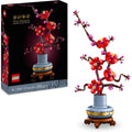 Photos BOTANICALS - Les fleurs de prunier