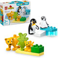 Photos Familles d’animaux sauvages : pingouins et lions
