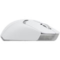 G309 - Blanc