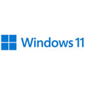 Windows 11 Professionnel 64 bits OEM (DVD)