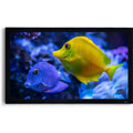 Photos Frame HD 90