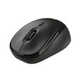 TM-200 - Souris sans fil