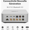 WiiM Amp Ultra Silver